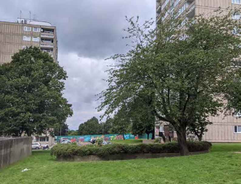 View across part of the site from Rushmere House